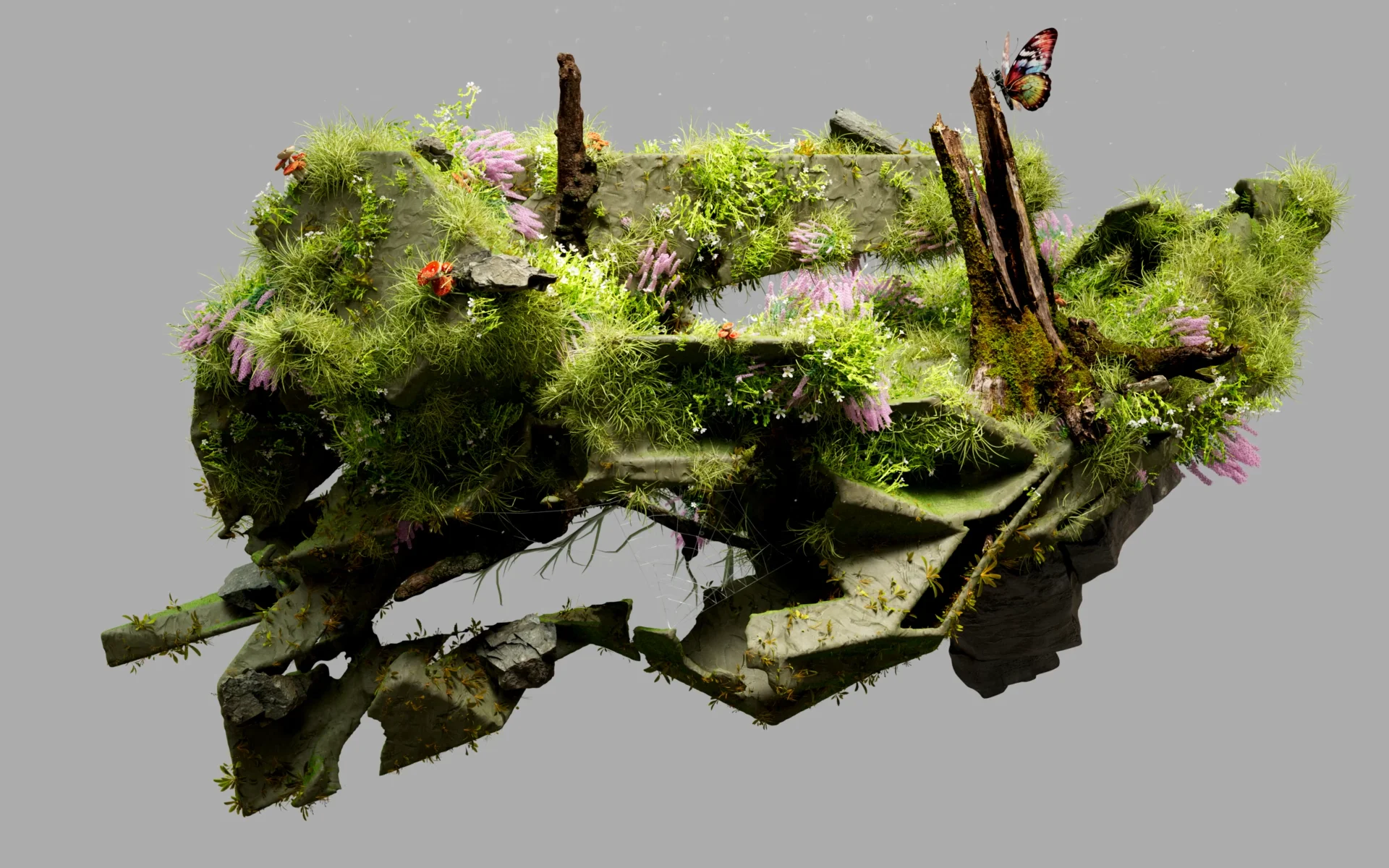 Conexsent Template Sample Image